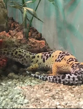 名古屋市東山動植物園に投稿された画像（2025/3/25）