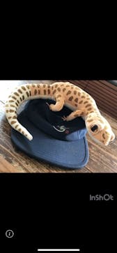 名古屋市東山動植物園に投稿された画像（2025/3/25）