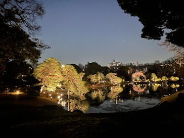 六義園に投稿された画像（2025/3/25）