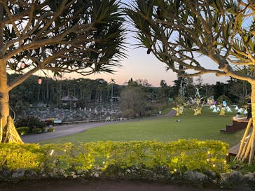 美らヤシパークオキナワ・東南植物楽園に投稿された画像（2025/3/25）