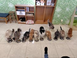 Moff animal world BIGHOPガーデンモール印西店に投稿された画像（2025/3/26）