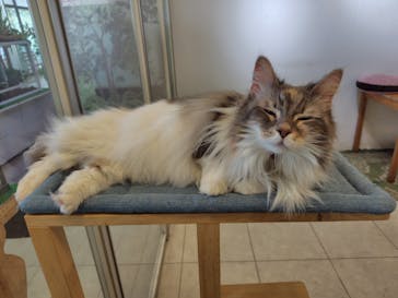 Moff animal world BIGHOPガーデンモール印西店に投稿された画像（2025/3/26）