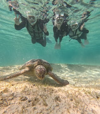 nico 宮古島に投稿された画像（2025/3/26）