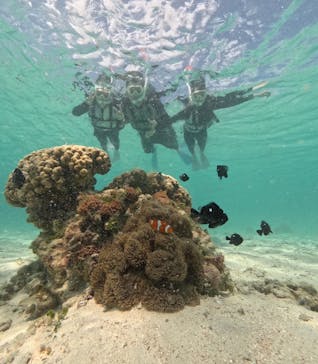 nico 宮古島に投稿された画像（2025/3/26）