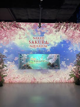 マクセル アクアパーク品川に投稿された画像（2025/3/26）