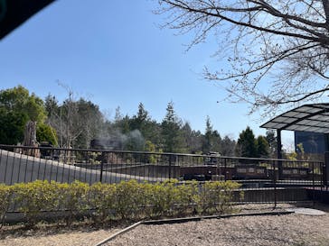 アソビュー！ポイントに投稿された画像（2025/3/26）