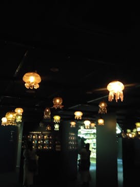 京都水族館に投稿された画像（2025/3/26）