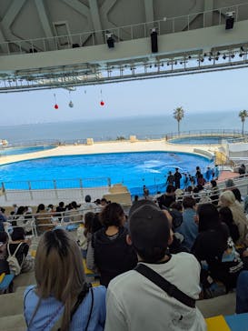 マリンワールド海の中道に投稿された画像（2025/3/26）