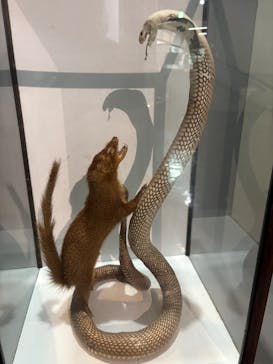 おきなわワールドに投稿された画像（2025/3/26）