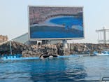 名古屋港水族館に投稿された画像（2025/3/26）