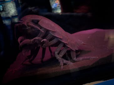 名古屋港水族館に投稿された画像（2025/3/26）