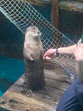 アクアワールド茨城県大洗水族館に投稿された画像（2025/3/26）