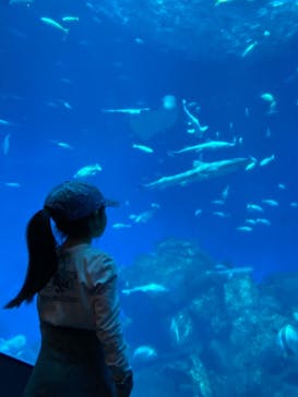 アクアワールド茨城県大洗水族館に投稿された画像（2025/3/26）
