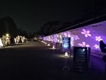 NAKED meets 二条城 2025 観月に投稿された画像（2025/3/26）