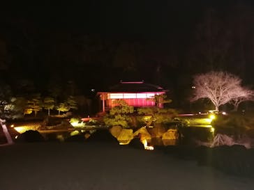 NAKED meets 二条城 2025 観月に投稿された画像（2025/3/26）