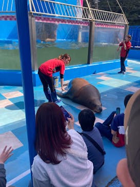 ゼロ距離水族館 伊勢シーパラダイスに投稿された画像（2025/3/26）