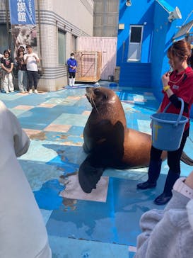 ゼロ距離水族館 伊勢シーパラダイスに投稿された画像（2025/3/26）