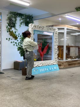 アニタッチ 東京ドームシティに投稿された画像（2025/3/26）