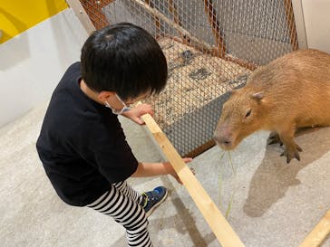 アニタッチ 東京ドームシティに投稿された画像（2025/3/26）