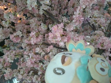 サンシャイン60展望台に投稿された画像（2025/3/26）