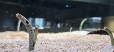 AOAO SAPPOROに投稿された画像（2025/3/26）