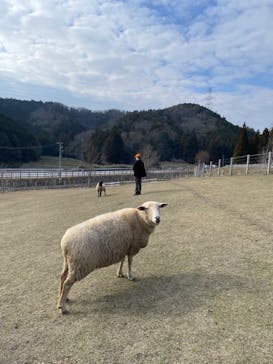 EnglishGardenローザンベリー多和田に投稿された画像（2025/3/26）