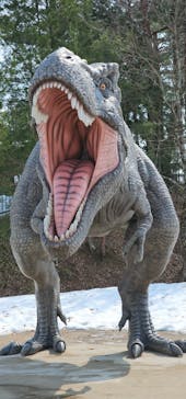 福井県立恐竜博物館に投稿された画像（2025/3/26）