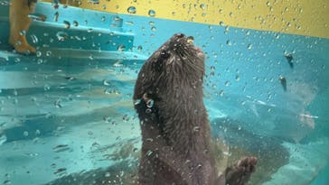 竹島水族館に投稿された画像（2025/3/26）