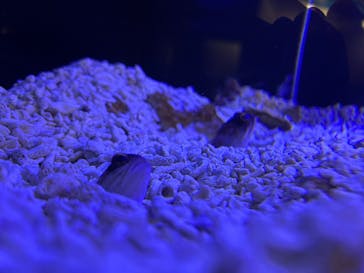 竹島水族館に投稿された画像（2025/3/26）