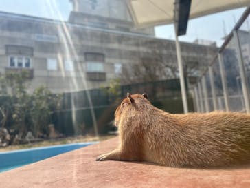 竹島水族館に投稿された画像（2025/3/26）