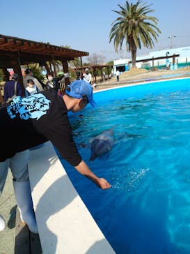 南知多ビーチランド＆南知多おもちゃ王国に投稿された画像（2025/3/26）