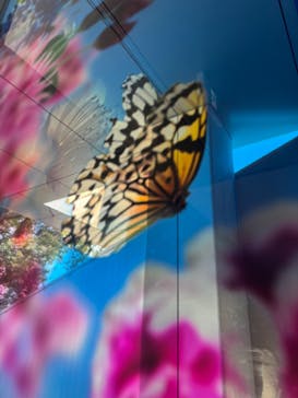 蜷川実花展 with EiM：彼岸の光、此岸の影 NINAGAWA Mika with EiM：Lights of the beyond, Shadows of this worldに投稿された画像（2025/3/26）