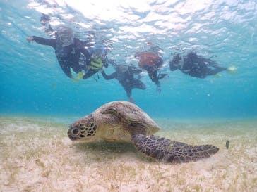 元気玉に投稿された画像（2025/3/26）