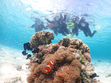 元気玉に投稿された画像（2025/3/26）