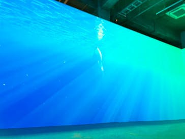 動き出す浮世絵展 TOKYOに投稿された画像（2025/3/26）