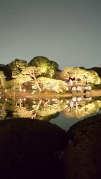 六義園に投稿された画像（2025/3/26）