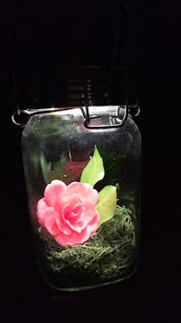 六義園に投稿された画像（2025/3/26）