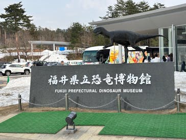 福井県立恐竜博物館に投稿された画像（2025/3/26）