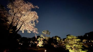 六義園に投稿された画像（2025/3/26）