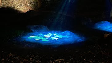 六義園に投稿された画像（2025/3/26）