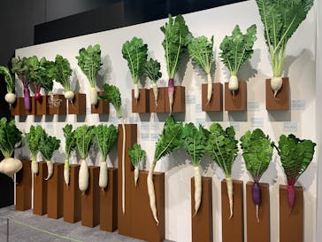 特別展「和食～日本の自然、人々の知恵～」に投稿された画像（2025/3/26）