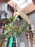 天王寺動物園に投稿された画像（2025/3/26）
