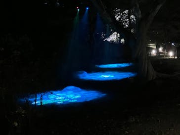 六義園に投稿された画像（2025/3/26）