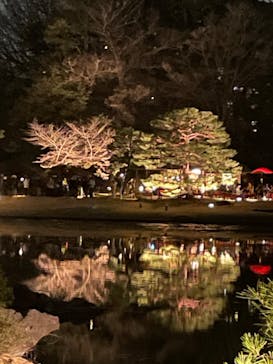 六義園に投稿された画像（2025/3/26）
