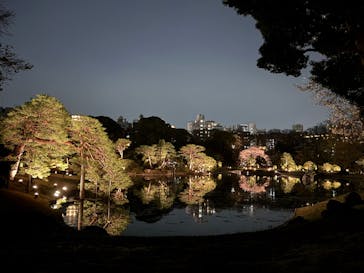 六義園に投稿された画像（2025/3/26）