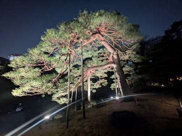 六義園に投稿された画像（2025/3/26）