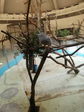 多摩動物公園に投稿された画像（2025/3/26）