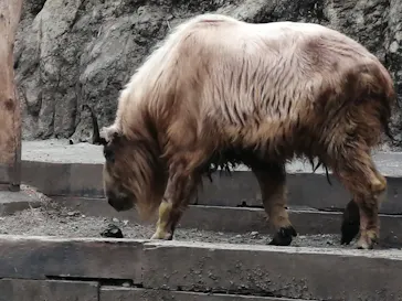 多摩動物公園に投稿された画像（2025/3/26）