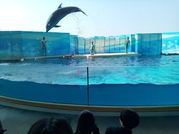 新江ノ島水族館に投稿された画像（2025/3/26）