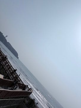 新江ノ島水族館に投稿された画像（2025/3/26）